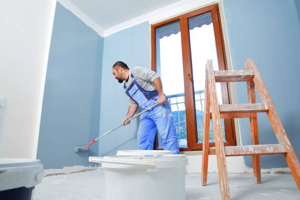 Best Mold Removal for HVAC Installations  in Granite Falls, MN