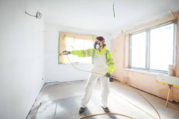 Best Water Damage & Mold Remediation  in Granite Falls, MN