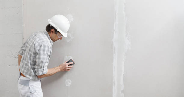 Best Attic Mold Removal  in Granite Falls, MN