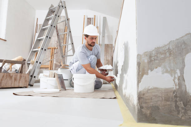Professional Mold Removal in Granite Falls, MN
