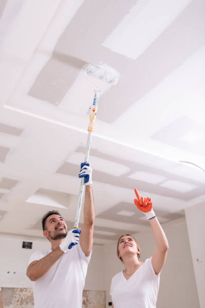 Best Mold Remediation for Healthcare Facilities  in Granite Falls, MN