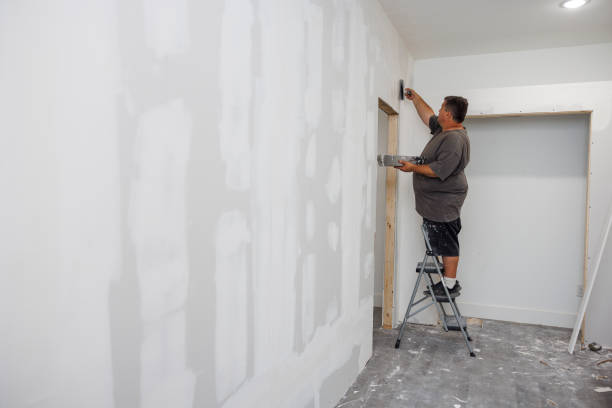 Best Mold Odor Removal Services  in Granite Falls, MN
