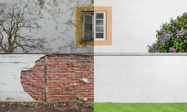 Best Mold Prevention Services  in Granite Falls, MN